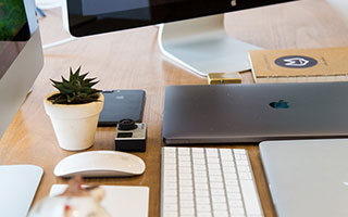 开云网页版登录入口-布莱顿战术灵活多变，海鸥军团欲再创佳绩，布莱顿为什么叫海鸥