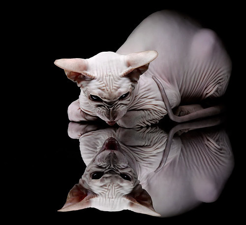 开云中国大陆-“青春激扬”青少年篮球青春盛典在杭州热烈举行，弘扬奋斗精神