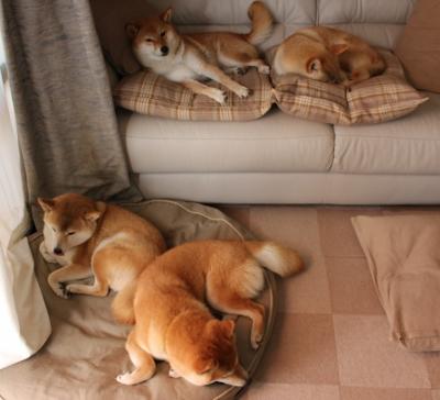 青少年“篮球梦想工厂”在济南正式运营,培养未来篮球精英,济南篮球主题公园