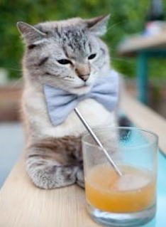 日本队主帅强调团队合作的重要性,日本团体组合