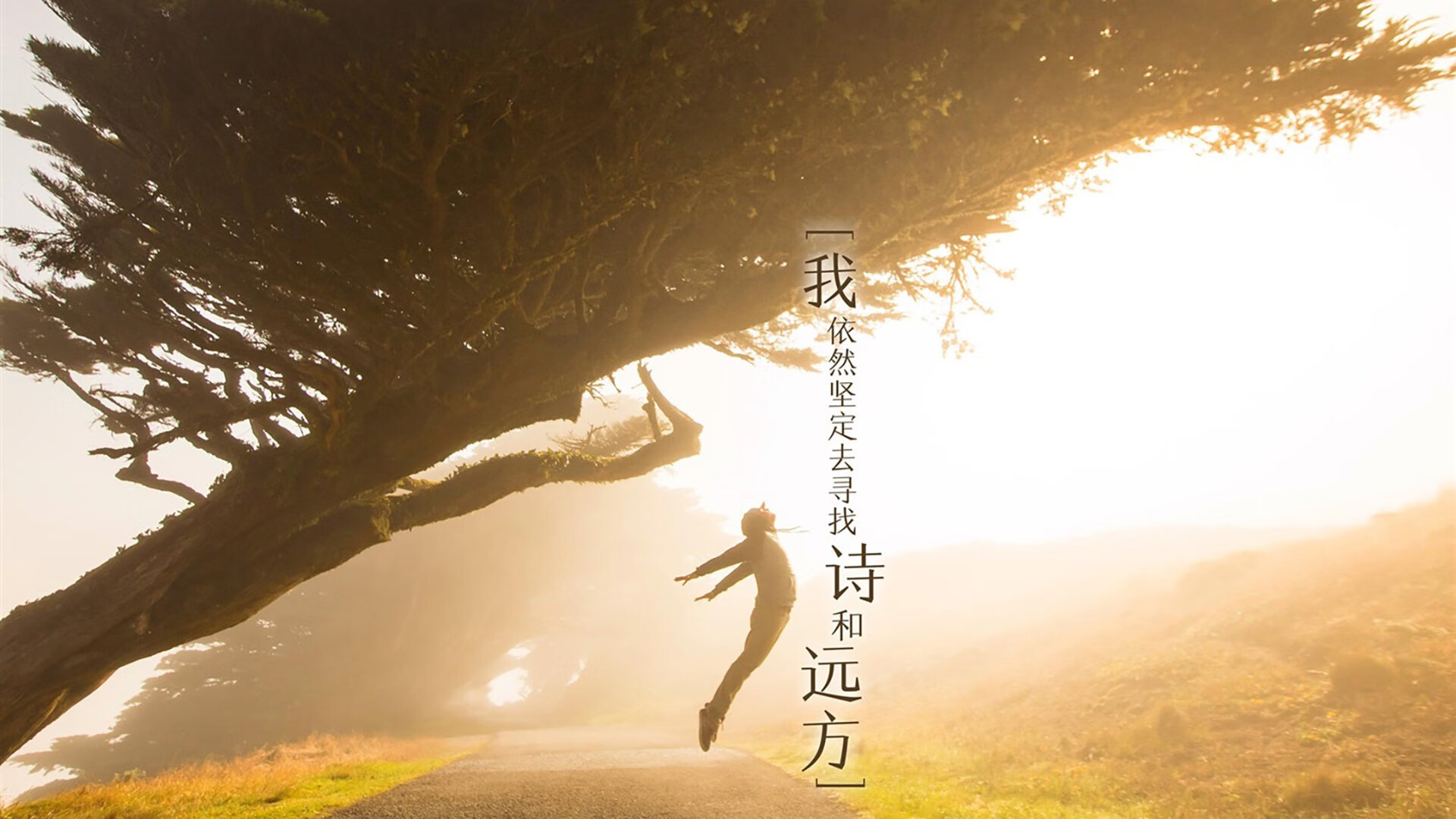 波鸿对决沃尔夫斯堡,德乙升班马较量,沃尔夫斯堡对阵波鸿