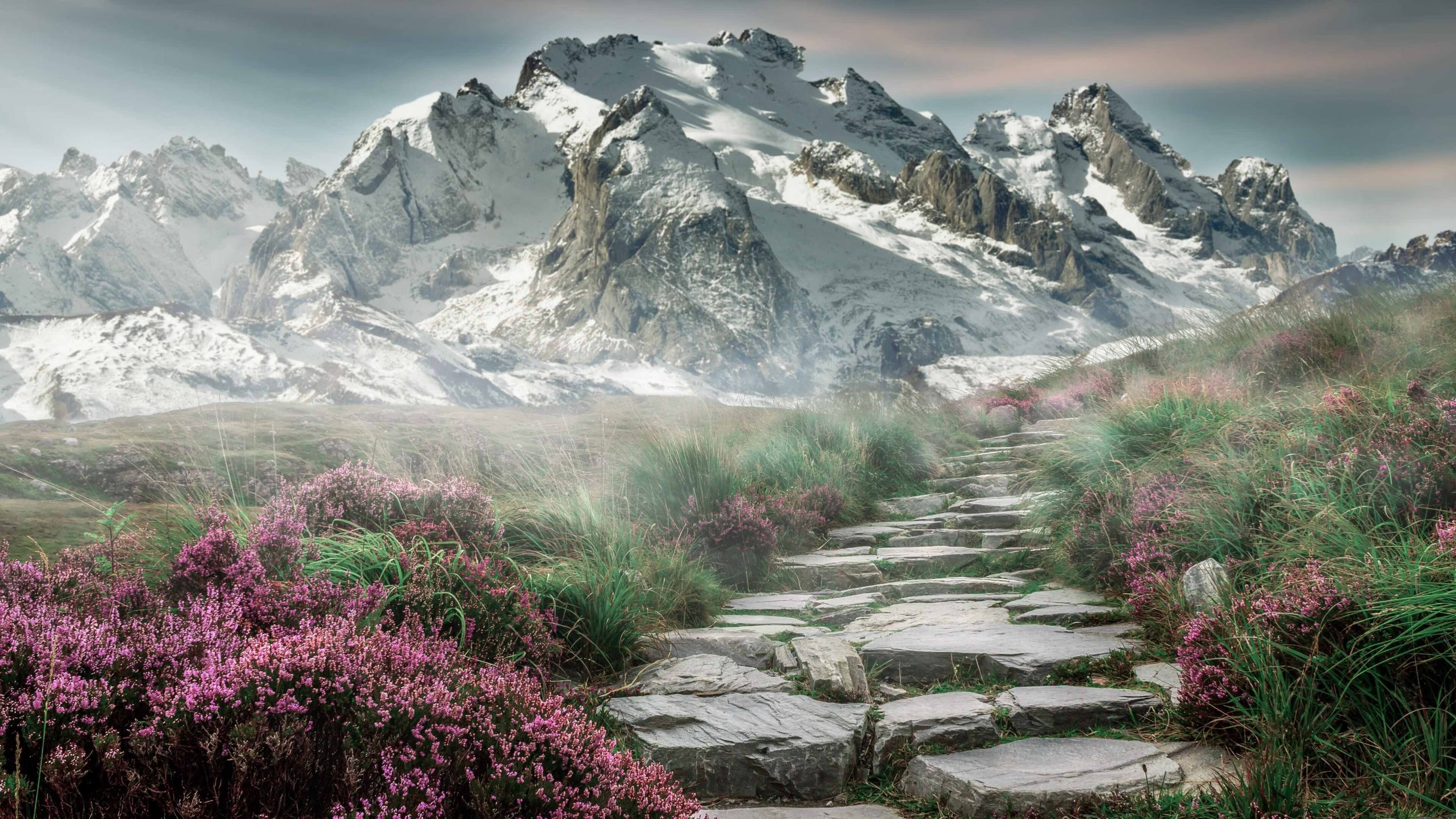 NBA球员伤病康复管理，nba球员伤病报告