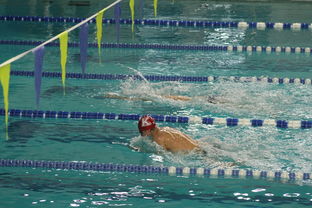 kaiyun官方网站-国际游泳精英赛中国队多人破纪录，国际游泳冠军系列赛