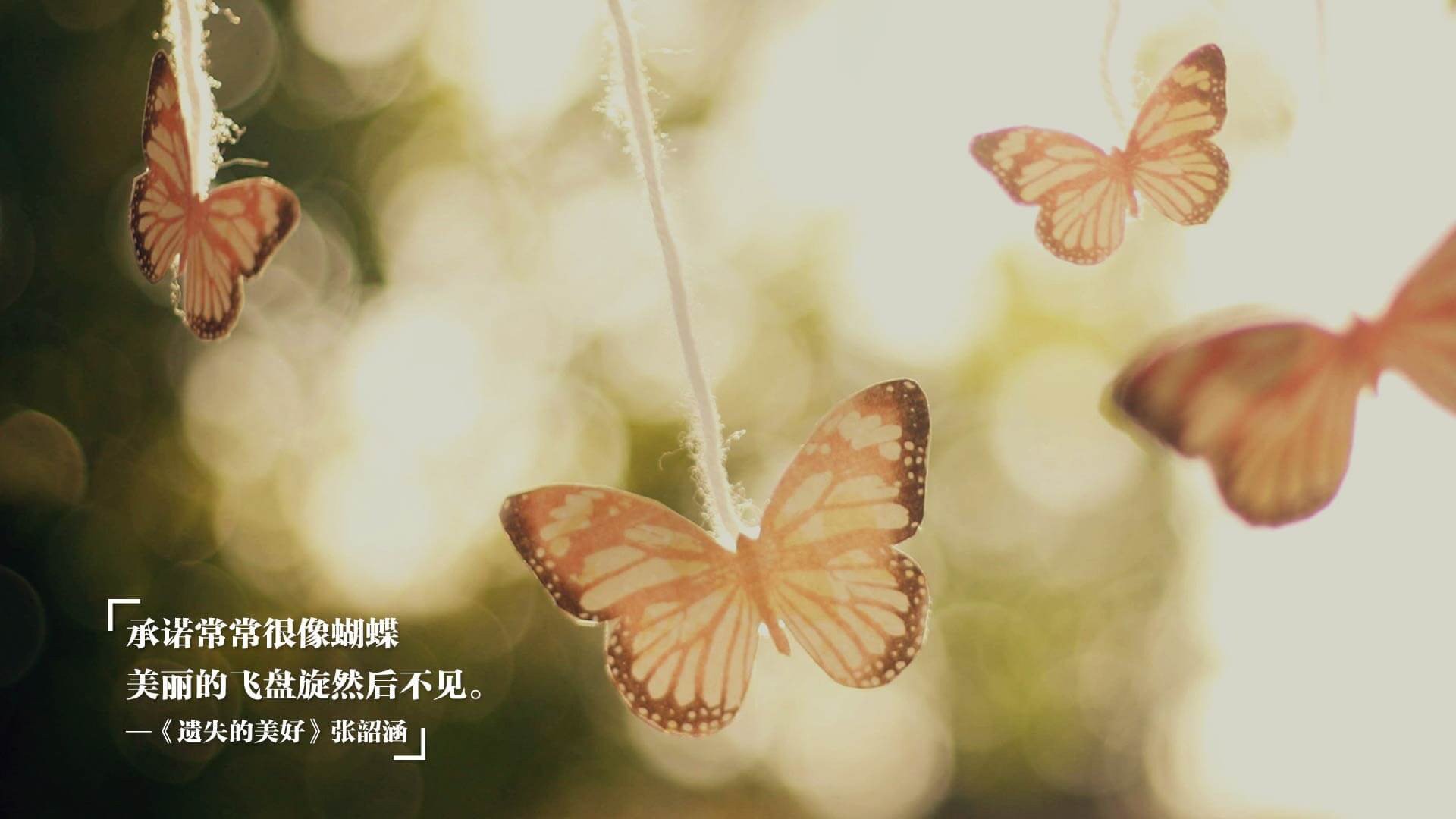 开云·体育官网-中国女篮训练基地全面升级 科学训练全面推进，中国女篮学校