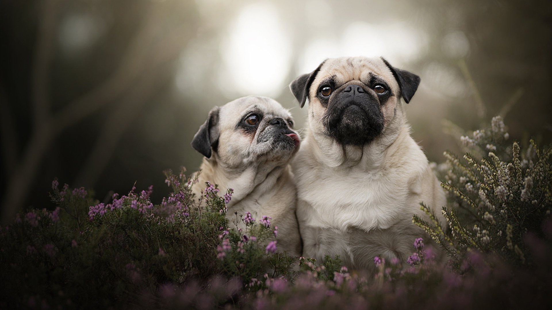 中国男篮继续推进全场联防体系,中国男篮全国联赛