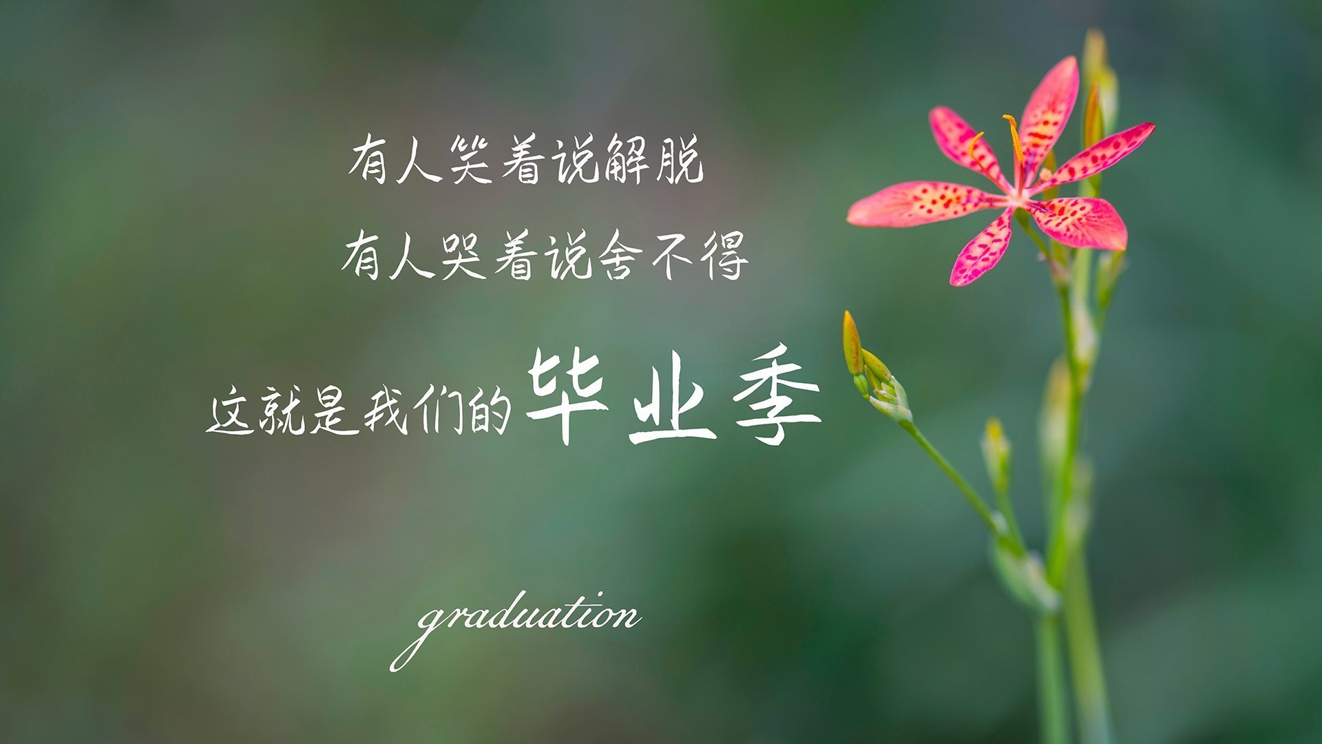 开云网页版-基层足球教练专业能力不足，作为足球教练应该具备什么素养