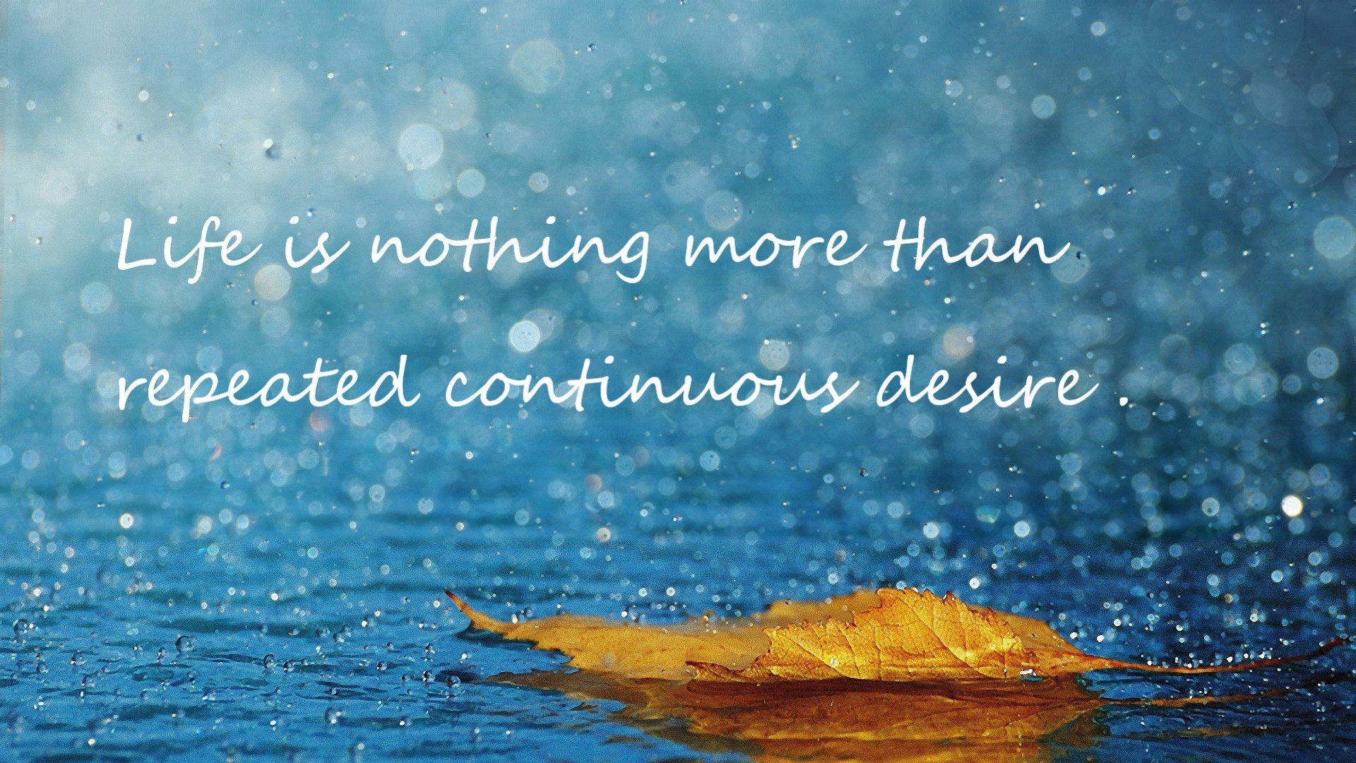 辽宁飞豹战术创新成为球队成功关键，辽宁飞豹吧 百度贴吧