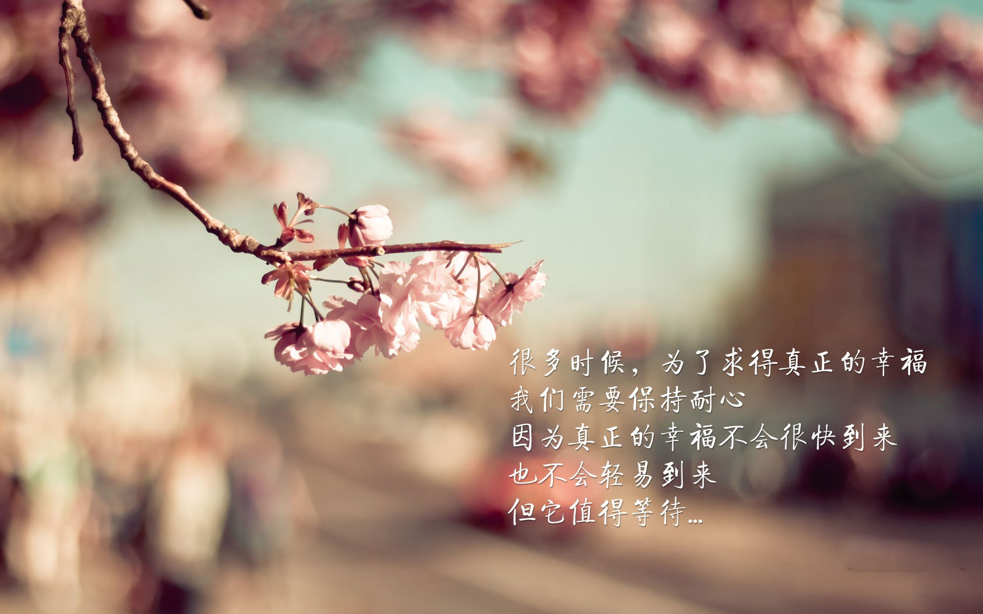 Kaiyun APP-乌干达女篮在非洲锦标赛中奋勇突破，追逐更多荣誉，乌干达vs南非