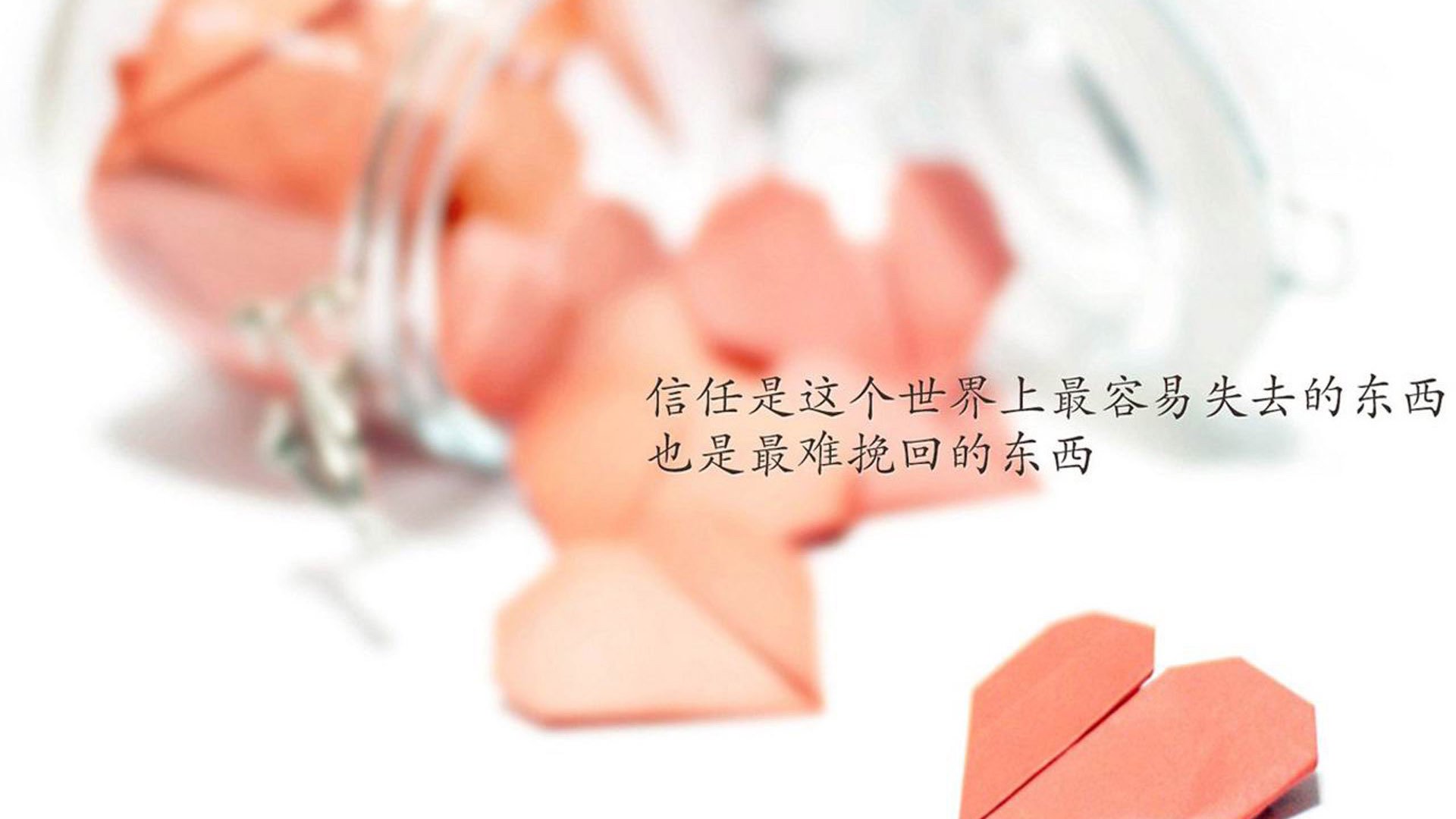 开云kaiyun-澳大利亚橄榄球青训体系的全球化进程进一步加速，澳大利亚橄榄球队