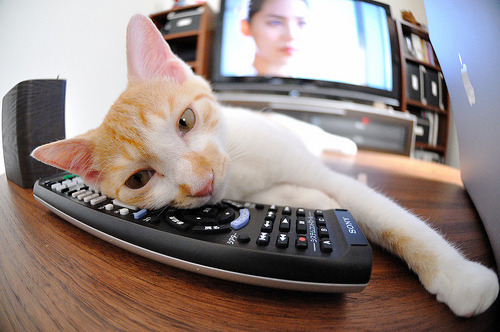 火箭老将指导年轻队员传授经验心得，火箭前教练去哪了